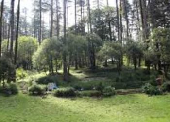 प्रदेश में यहां बनेंगे ईको पार्क, सीएस ने दिए ये निर्देश..