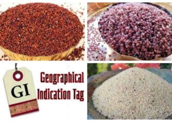 उत्तराखंड के इन उत्पादों को मिला GI Tag..