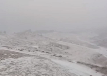 उत्तराखंड में सर्दी का सितम जारी, शीत दिवस का येलो अलर्ट..