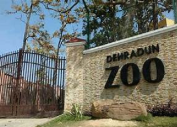Dehradun Zoo की शोभा बढ़ाएंगे बाघ, कॉर्बेट टाइगर रिजर्व से भेजे गए 2 बाघ..