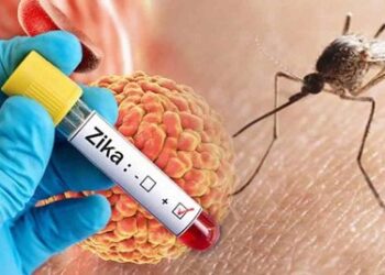 जीका वायरस को लेकर केंद्र सरकार ने सभी राज्यों को किया अलर्ट..
