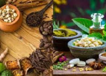 उत्तराखंड में पहली बार होगा अंतरराष्ट्रीय आयुर्वेद सम्मेलन..