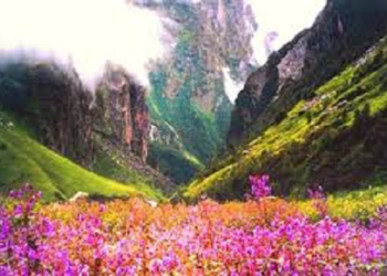 31 अक्तूबर को बंद होगी फूलों की घाटी, अभी तक 19,000 पर्यटकों ने देखा दिलकश नजारा..