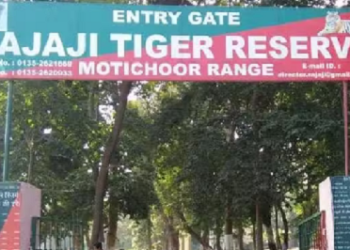 पर्यटकों के लिए खुल गए राजाजी पार्क के द्वार..