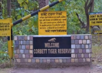 कॉर्बेट टाइगर रिजर्व में आउटलेट खोलने की कवायद तेज..