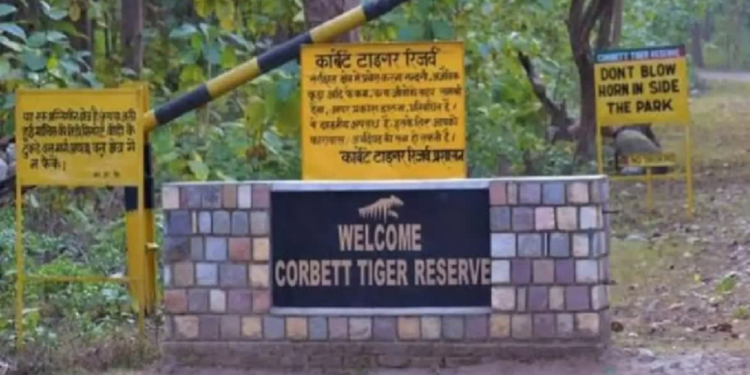 कॉर्बेट टाइगर रिजर्व में आउटलेट खोलने की कवायद तेज..