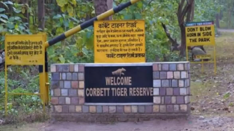 कॉर्बेट टाइगर रिजर्व में आउटलेट खोलने की कवायद तेज..