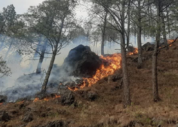 मोबाइल एप से फॉरेस्ट फायर पर लगेगा ‘ब्रेक’! ड्रोन से होगी मॉनिटरिंग