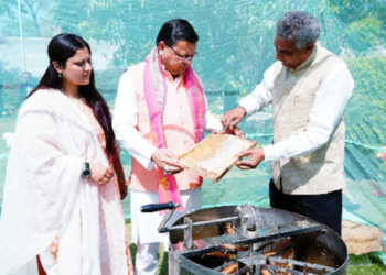 मौन पालन को उत्तराखंड में मिलेगा बढ़ावा..