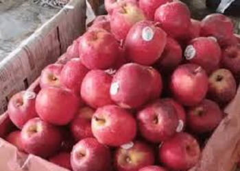 नाबार्ड देहरादून दो दिवसीय ‘सेब महोत्सव 2.0’ का कर रहा आयोजन..