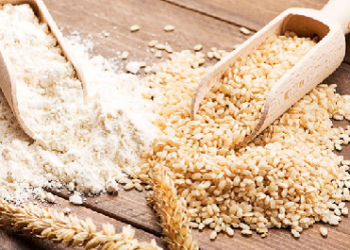 राज्य खाद्य योजना में सुधार, साढ़े नौ लाख परिवारों को फिर से पांच किलो गेहूं मिलेगा..