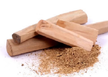 चंदन की खुशबू से महकेगी किसानों की आर्थिकी, शोध में सुगंध पौध केंद्र को मिले अच्छे परिणाम..