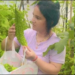 लक्ष्मी मेहता की पहल रंग लाई, 50 महिलाएं बनीं आत्मनिर्भर, सेना को मिलेंगे स्थानीय उत्पाद..